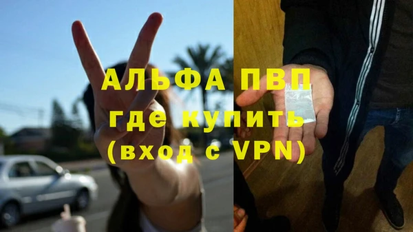 соль ск Алзамай