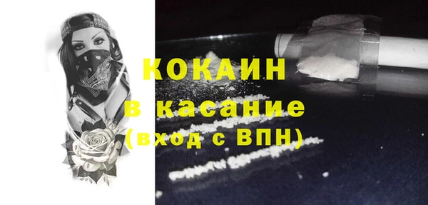 гашик Алексин