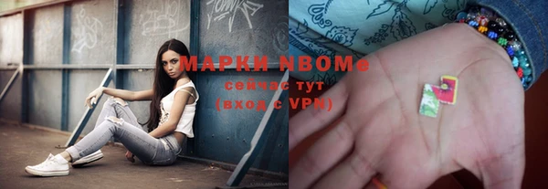 гашик Алексин