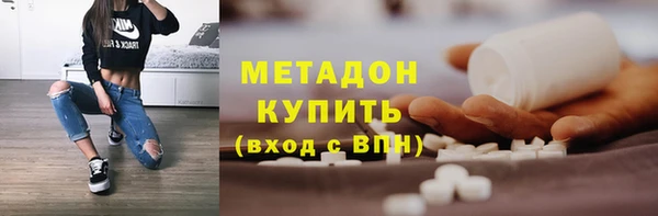 гашик Алексин