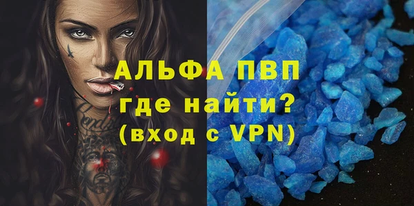 гашик Алексин