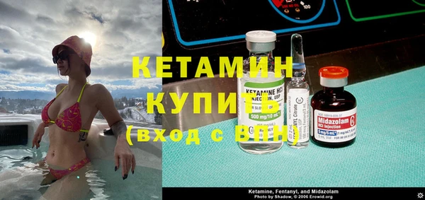 гашик Алексин