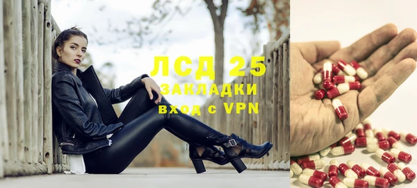 гашик Алексин