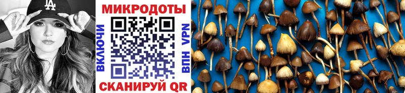 Псилоцибиновые грибы мицелий Боготол