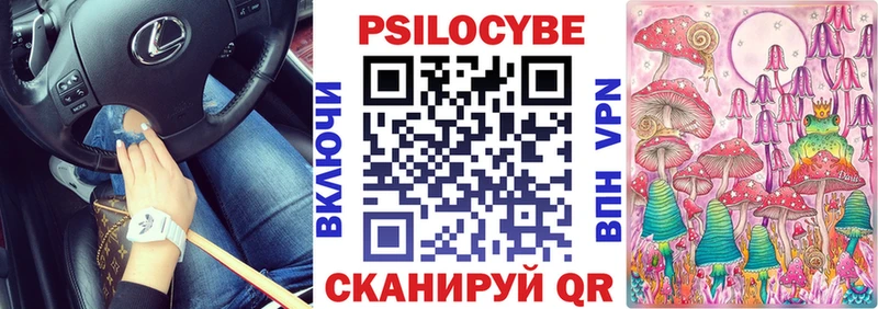 shop телеграм  Боготол  Галлюциногенные грибы Psilocybe 